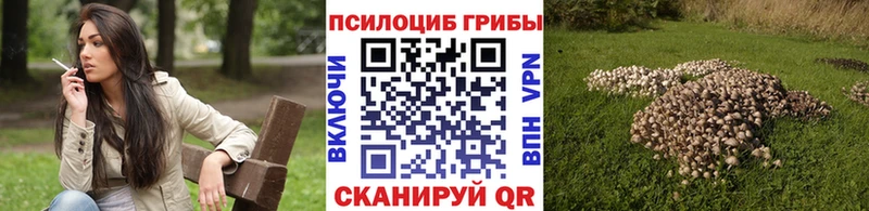 Галлюциногенные грибы прущие грибы  сколько стоит  Кингисепп 