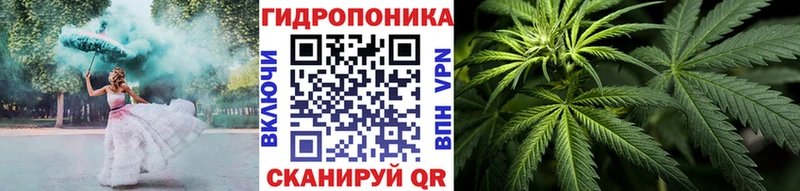 Конопля MAZAR  купить  сайты  KRAKEN ONION  Кингисепп 